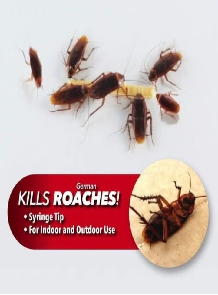 Roach Expert Cockroach Gel Bait 30g- Ready-to-Use Roach Killer Gel with Syringe Applicator for Indoor & Outdoor Pest Control in Kitchen, Washroom, Kennel, Office, and Warehouse