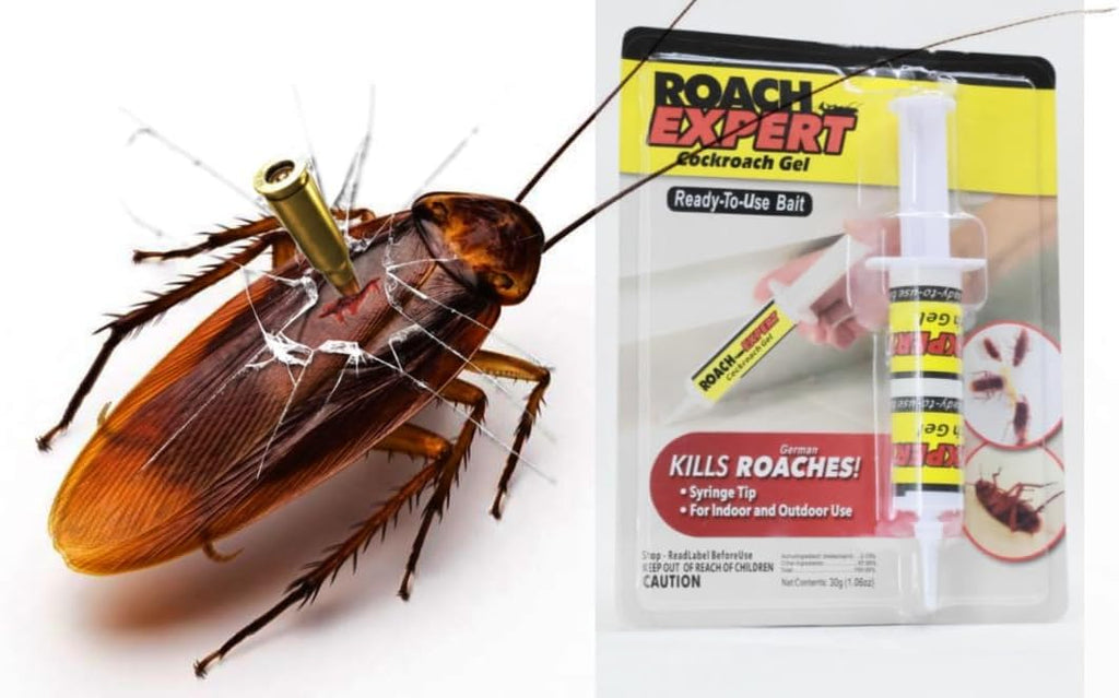 Roach Expert Cockroach Gel Bait 30g- Ready-to-Use Roach Killer Gel with Syringe Applicator for Indoor & Outdoor Pest Control in Kitchen, Washroom, Kennel, Office, and Warehouse