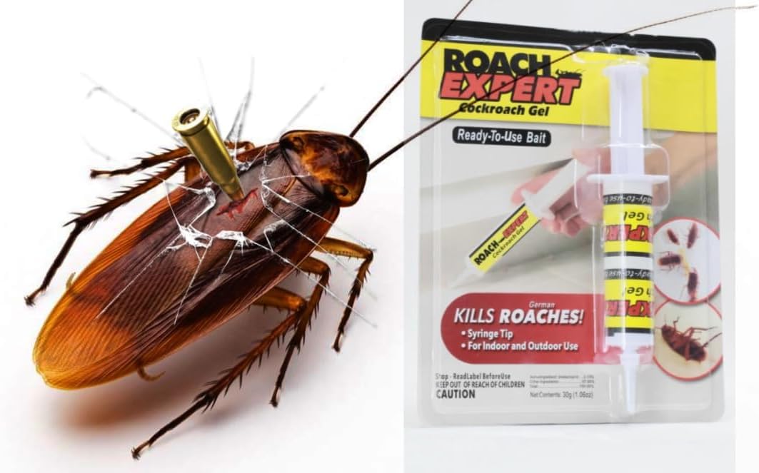 Roach Expert Cockroach Gel Bait 30g- Ready-to-Use Roach Killer Gel with Syringe Applicator for Indoor & Outdoor Pest Control in Kitchen, Washroom, Kennel, Office, and Warehouse